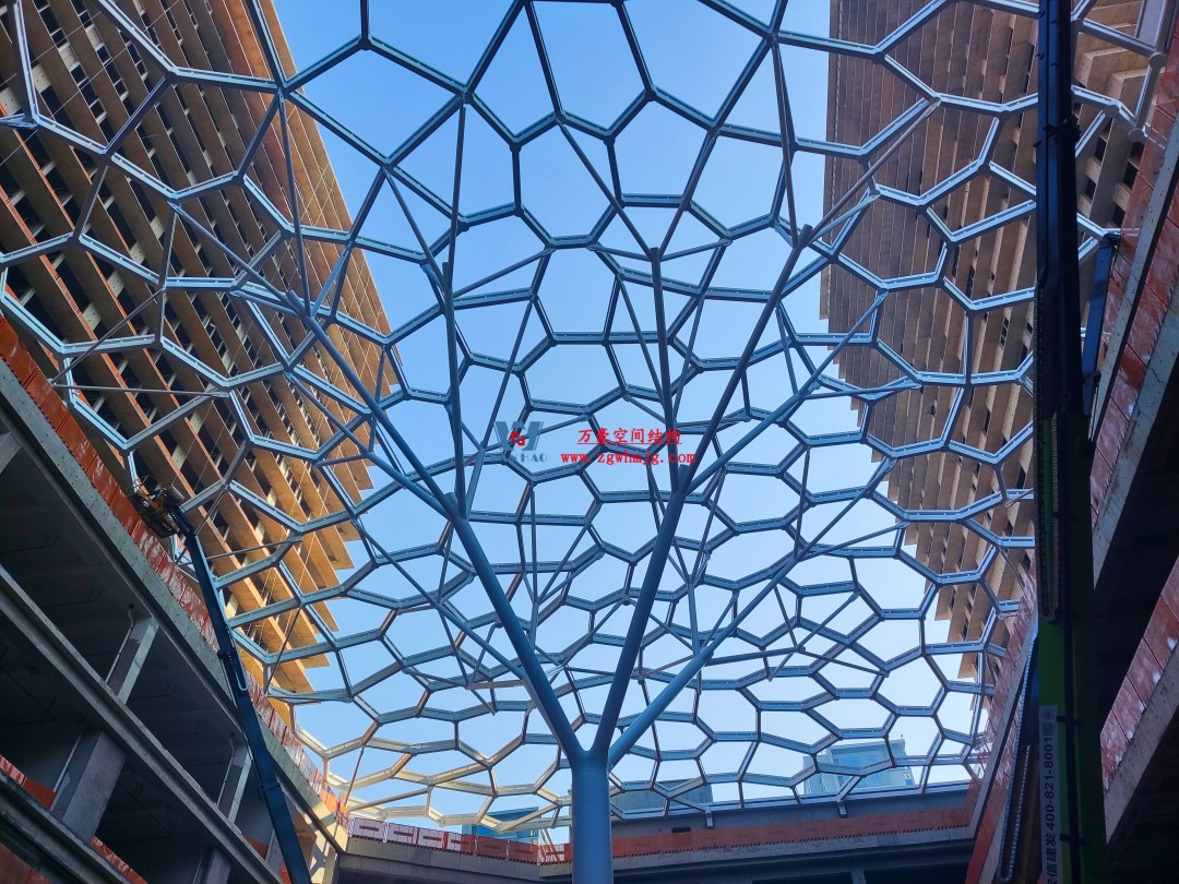 1743658589122142.jpg 2.jpg