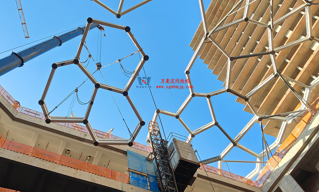 1754370759715556.jpg 5a.jpg